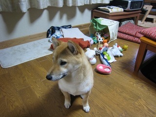 ���т����̂܂�������L�B