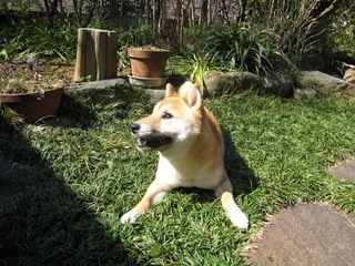 ���т����̂܂�������L�B