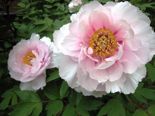 ���т����̂܂�������L�B