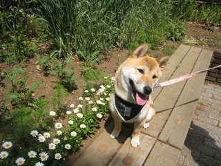 ���т����̂܂�������L�B