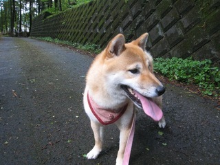 ���т����̂܂�������L�B