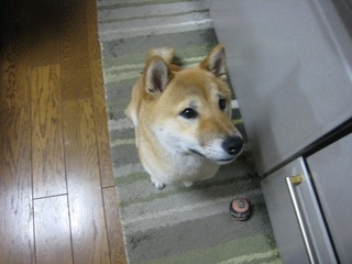 ���т����̂܂�������L�B