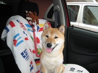 ���т����̂܂�������L�B