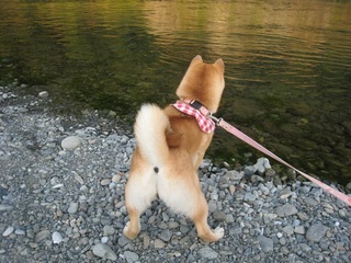 ���т����̂܂�������L�B