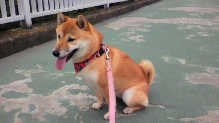 ���т����̂܂�������L�B