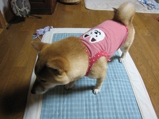 ���т����̂܂�������L�B