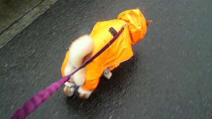 ���т����̂܂�������L�B