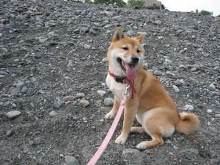 ���т����̂܂�������L�B