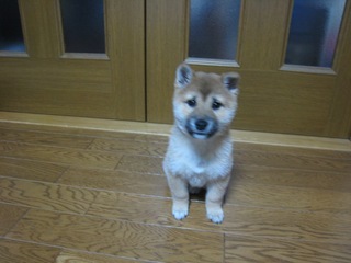 ���т����̂܂�������L�B