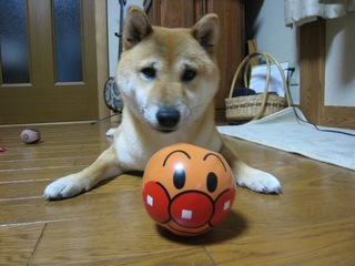 ���т����̂܂�������L�B