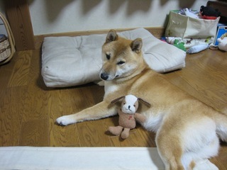 ���т����̂܂�������L�B