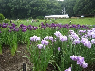 ���т����̂܂�������L�B