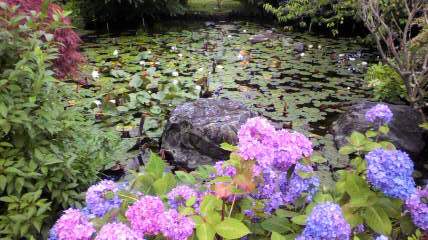 ���т����̂܂�������L�B