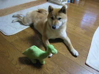 ���т����̂܂�������L�B