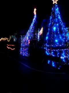 ���т����̂܂�������L�B