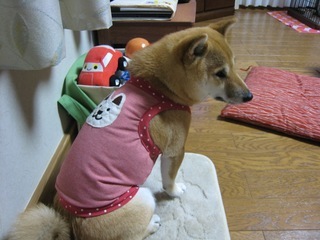 ���т����̂܂�������L�B