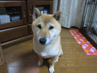 ���т����̂܂�������L�B