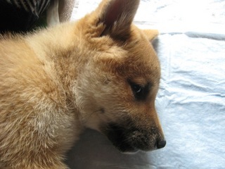 ���т����̂܂�������L�B