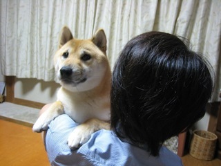 ���т����̂܂�������L�B