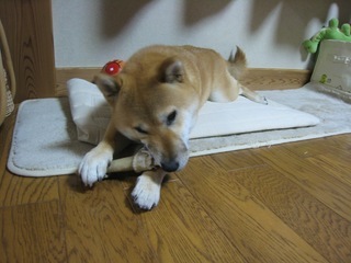 ���т����̂܂�������L�B