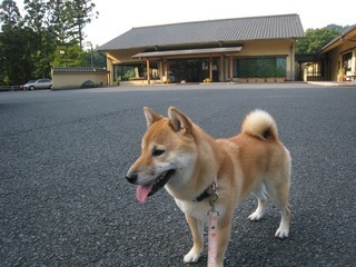 ���т����̂܂�������L�B