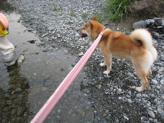 ���т����̂܂�������L�B