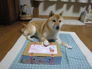 ���т����̂܂�������L�B