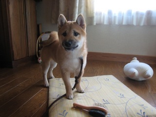 ���т����̂܂�������L�B