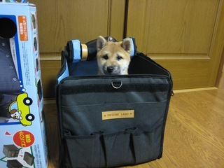 ���т����̂܂�������L�B