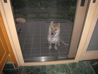 ���т����̂܂�������L�B