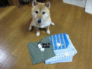 ���т����̂܂�������L�B