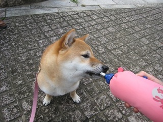 ���т����̂܂�������L�B