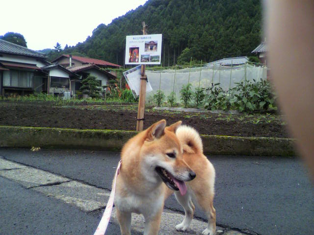 ���т����̂܂�������L�B