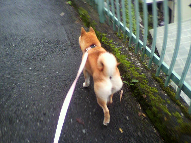 ���т����̂܂�������L�B