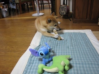 ���т����̂܂�������L�B