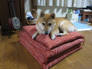 ���т����̂܂�������L�B