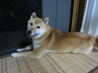 ���т����̂܂�������L�B