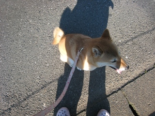 ���т����̂܂�������L�B