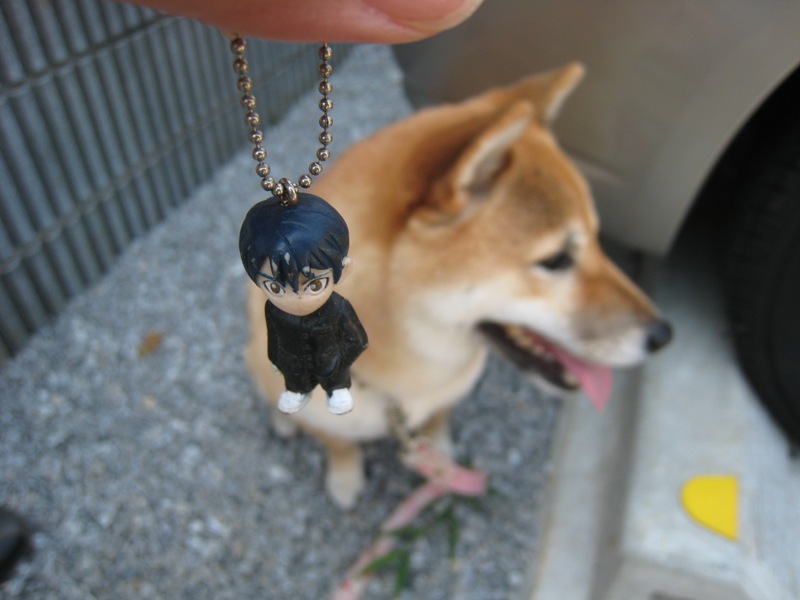 ���т����̂܂�������L�B