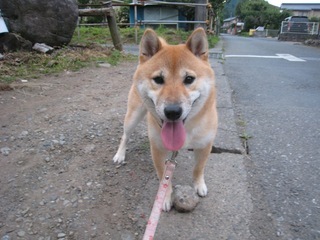 ���т����̂܂�������L�B