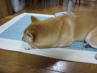 ���т����̂܂�������L�B