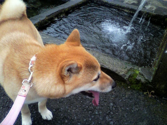 ���т����̂܂�������L�B