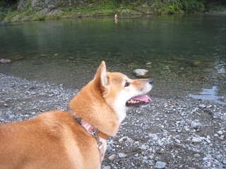 ���т����̂܂�������L�B