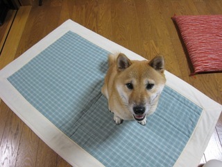 ���т����̂܂�������L�B