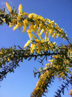 ���т����̂܂�������L�B