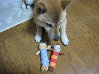 ���т����̂܂�������L�B