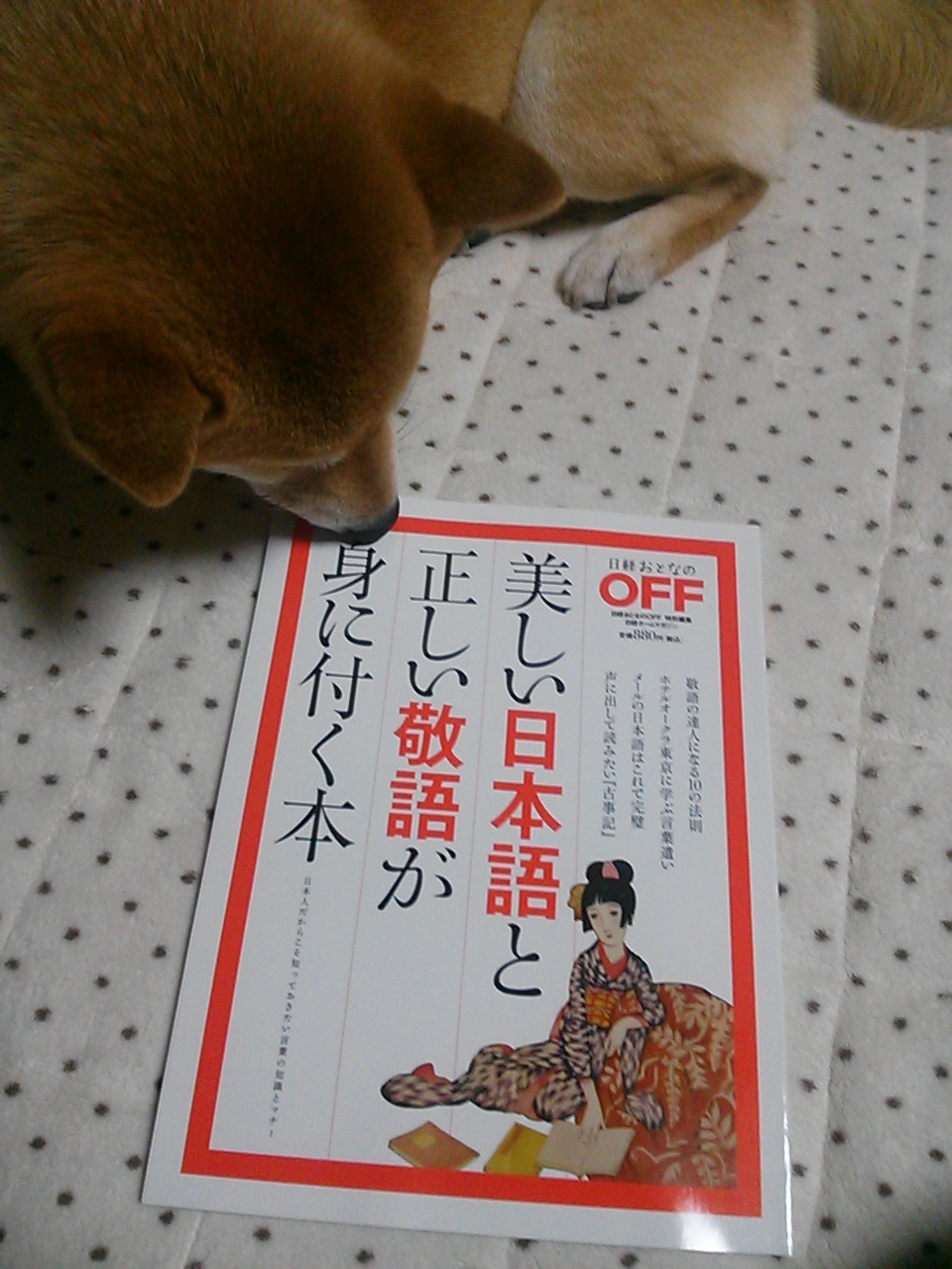 ���т����̂܂�������L�B