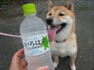 ���т����̂܂�������L�B