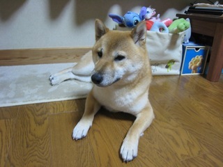 ���т����̂܂�������L�B