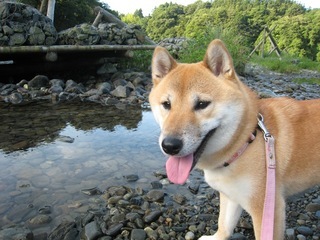 ���т����̂܂�������L�B